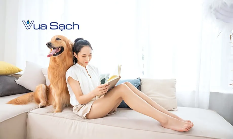 cong-ty-giat-ghe-sofa-huyen-nha-be