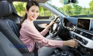 dich-vu-ve-sinh-ghe-o-to-quan-3