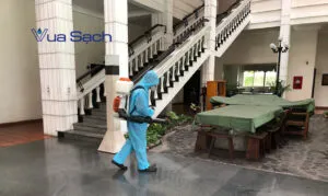 dich-vu-phun-khu-khuan-quan-2-vua-sach